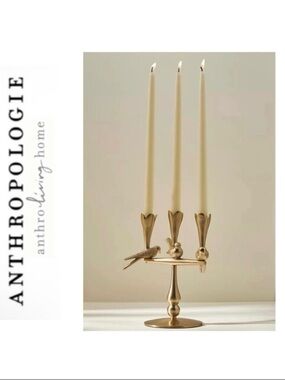 Anthropologie Marizia Sparrow 3 Taper Candelabra Brand New